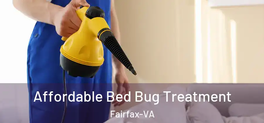Affordable Bed Bug Treatment Fairfax-VA