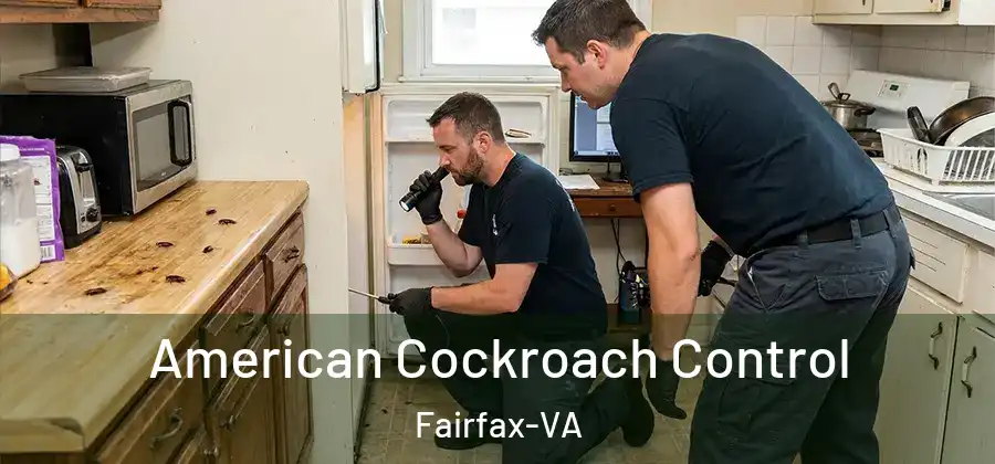American Cockroach Control Fairfax-VA