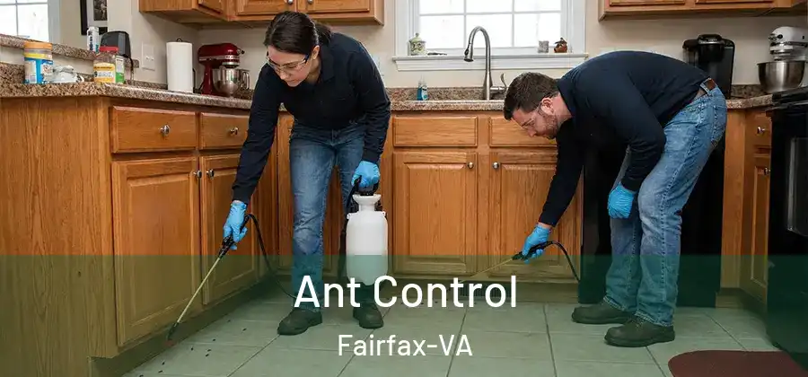  Ant Control Fairfax-VA