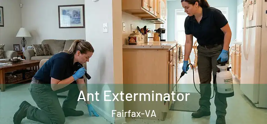 Ant Exterminator Fairfax-VA