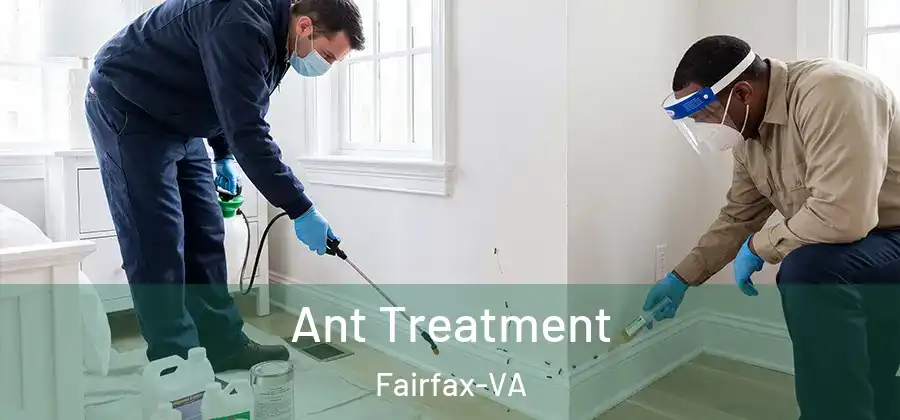  Ant Treatment Fairfax-VA
