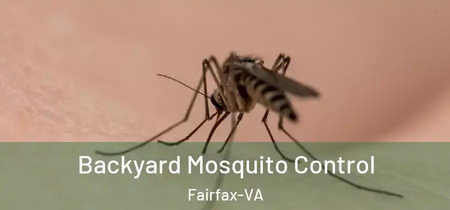  Backyard Mosquito Control Fairfax-VA