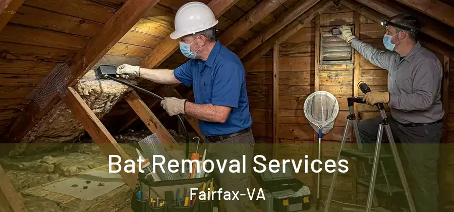 Bat Removal Services Fairfax-VA