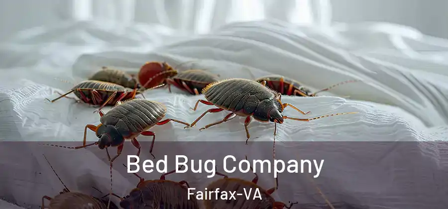  Bed Bug Company Fairfax-VA