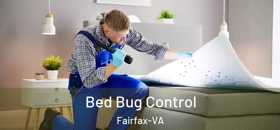  Bed Bug Control Fairfax-VA