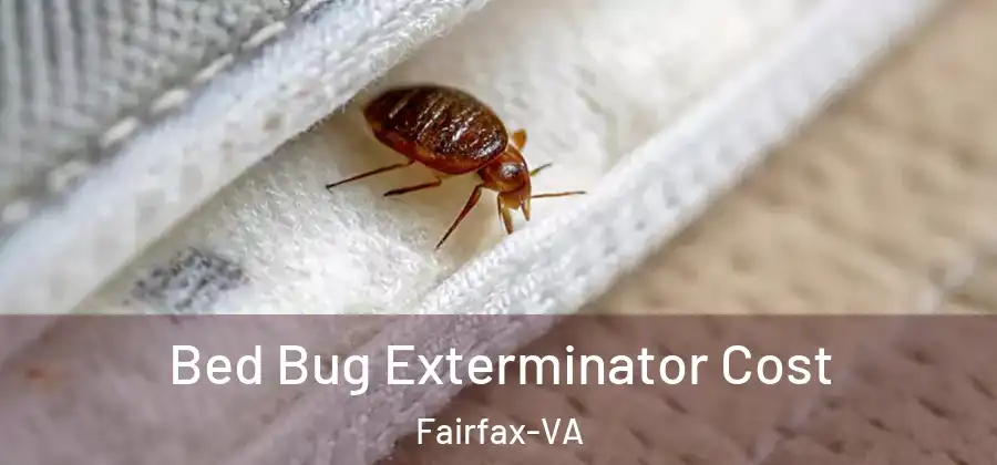 Bed Bug Exterminator Cost Fairfax-VA