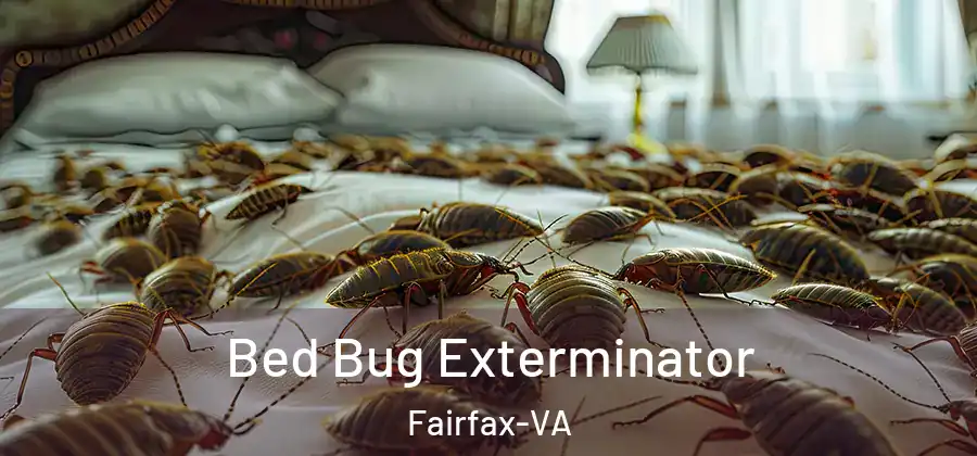  Bed Bug Exterminator Fairfax-VA