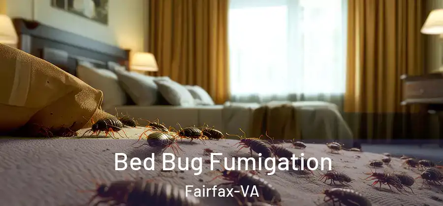  Bed Bug Fumigation Fairfax-VA
