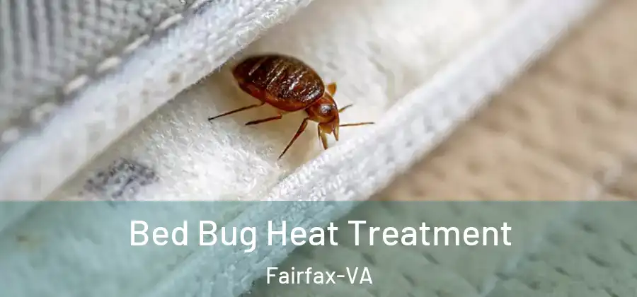 Bed Bug Heat Treatment Fairfax-VA