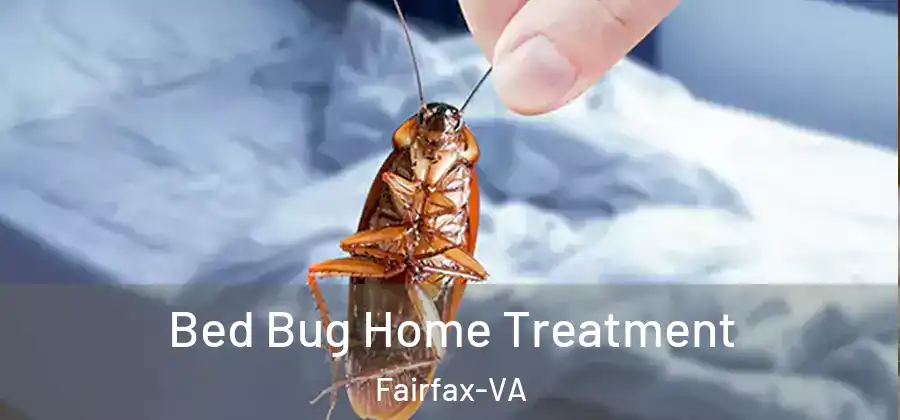 Bed Bug Home Treatment Fairfax-VA