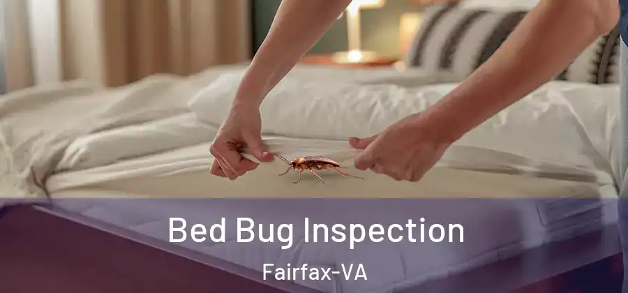  Bed Bug Inspection Fairfax-VA