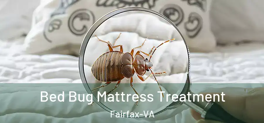  Bed Bug Mattress Treatment Fairfax-VA