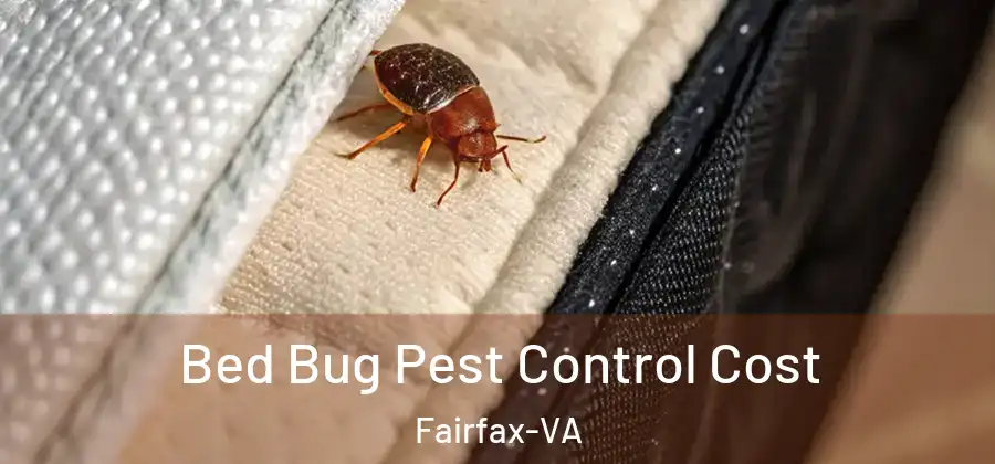 Bed Bug Pest Control Cost Fairfax-VA