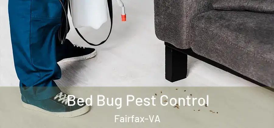  Bed Bug Pest Control Fairfax-VA
