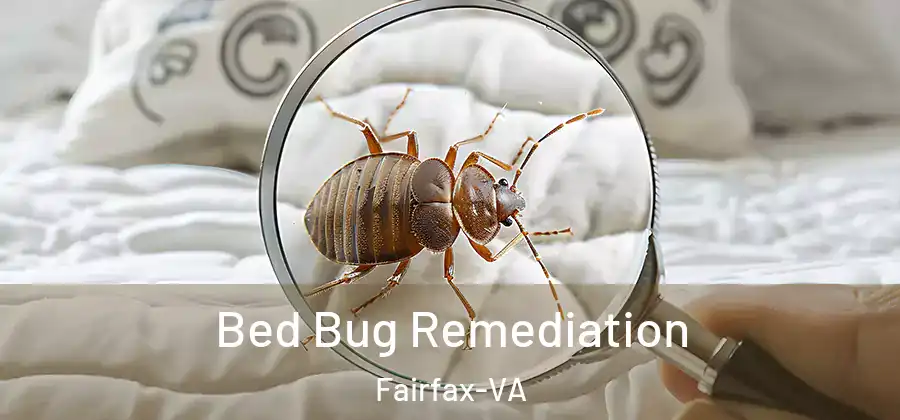 Bed Bug Remediation Fairfax-VA