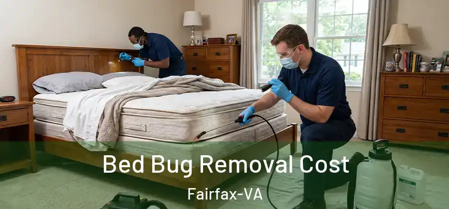 Bed Bug Removal Cost Fairfax-VA
