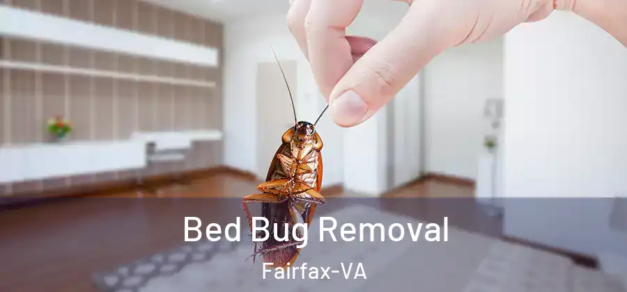 Bed Bug Removal Fairfax-VA