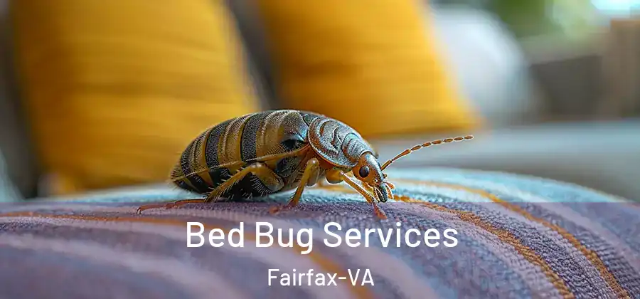  Bed Bug Services Fairfax-VA