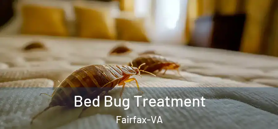 Bed Bug Treatment Fairfax-VA