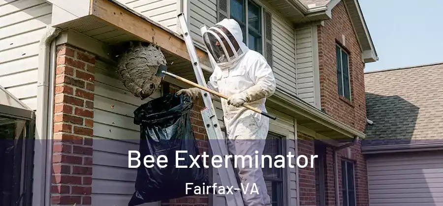 Bee Exterminator Fairfax-VA