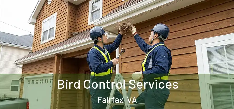 Bird Control Services Fairfax-VA