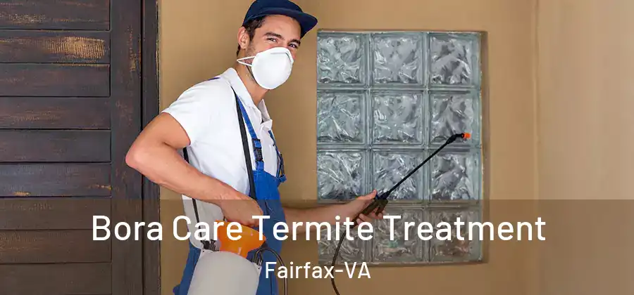 Bora Care Termite Treatment Fairfax-VA
