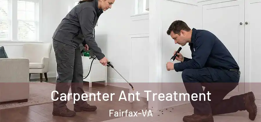Carpenter Ant Treatment Fairfax-VA