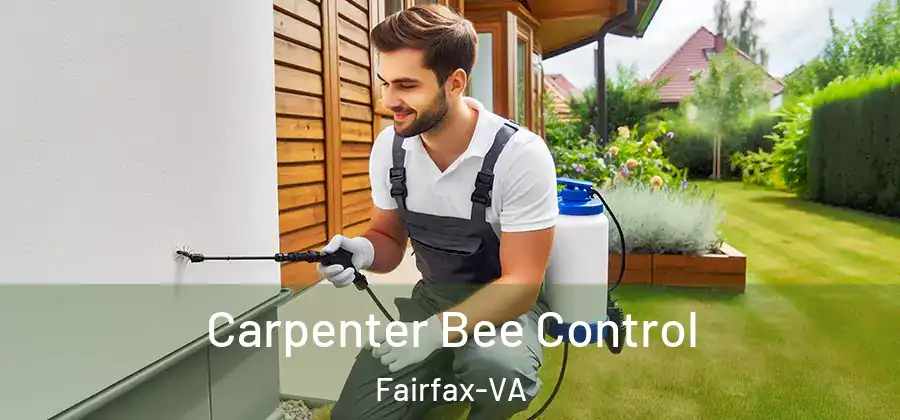 Carpenter Bee Control Fairfax-VA
