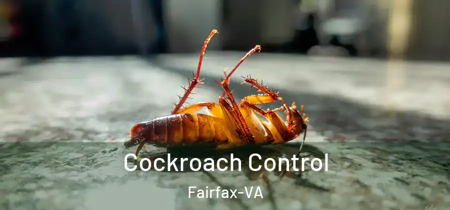  Cockroach Control Fairfax-VA