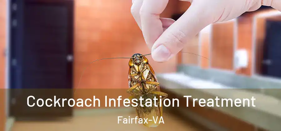 Cockroach Infestation Treatment Fairfax-VA