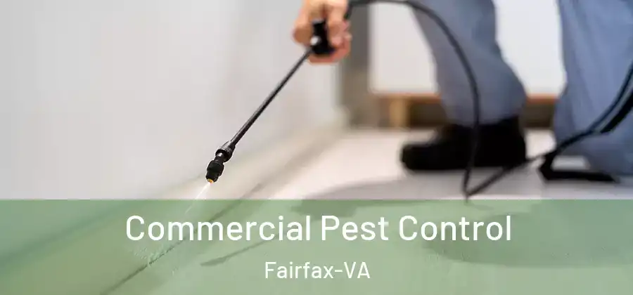  Commercial Pest Control Fairfax-VA