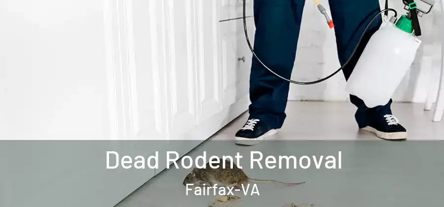  Dead Rodent Removal Fairfax-VA