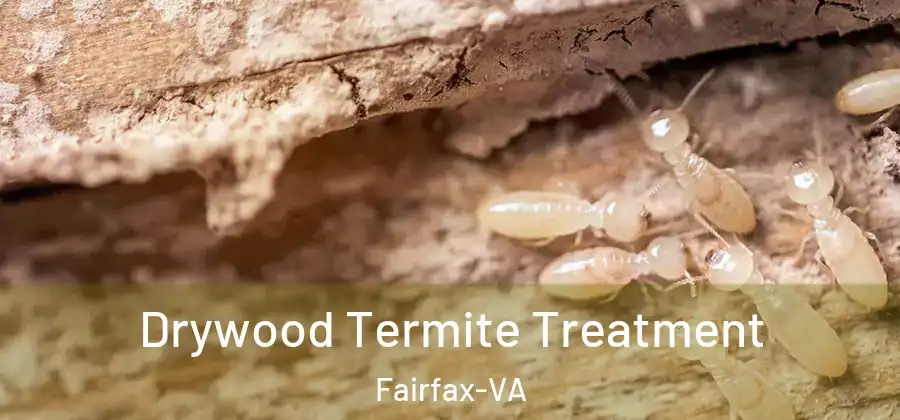 Drywood Termite Treatment Fairfax-VA