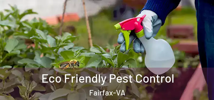  Eco Friendly Pest Control Fairfax-VA