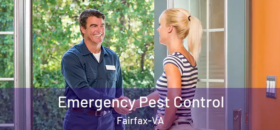  Emergency Pest Control Fairfax-VA
