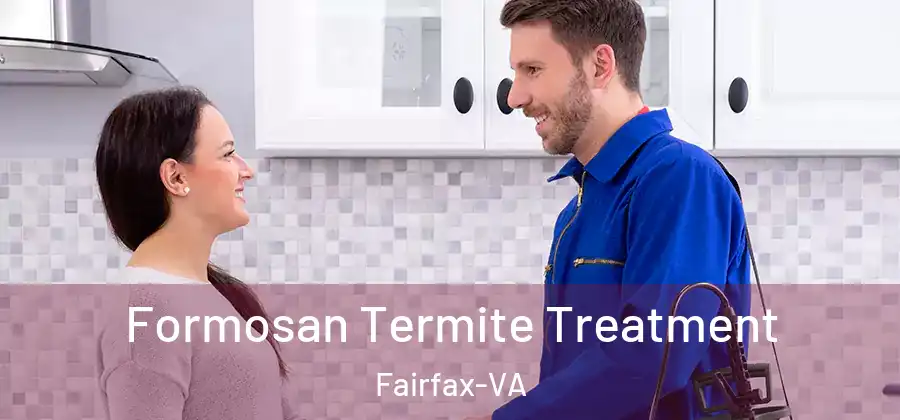 Formosan Termite Treatment Fairfax-VA