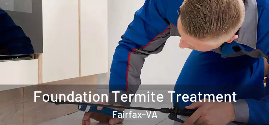  Foundation Termite Treatment Fairfax-VA