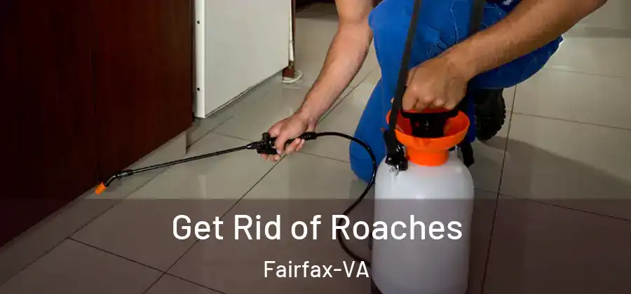  Get Rid of Roaches Fairfax-VA
