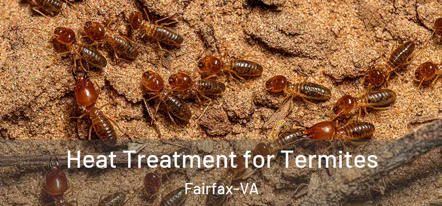  Heat Treatment for Termites Fairfax-VA