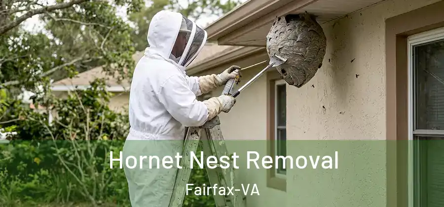  Hornet Nest Removal Fairfax-VA