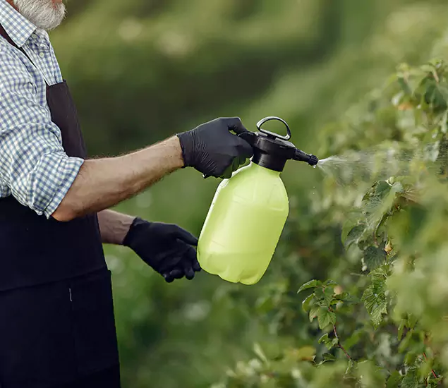 Your Proven Mosquito Treatment Company in Fairfax, VA