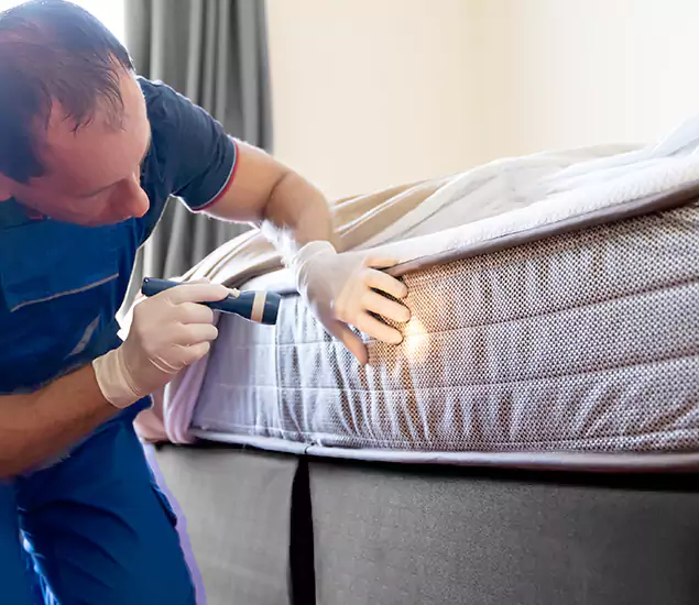 Trusted Bed Bug Cost Experts in Fairfax, VA