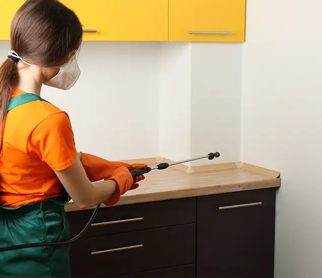 Trusted Bed Bug Pest Control Specialist in Fairfax, VA
