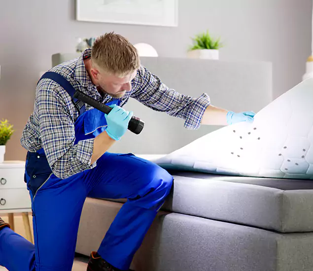 Trusted Bed Bug Remediation Experts in Fairfax, VA