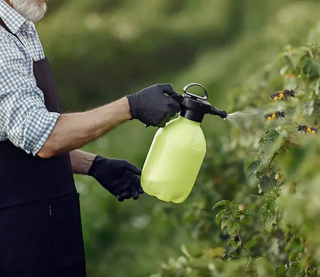 Your Carpenter Bee Service in Fairfax, VA