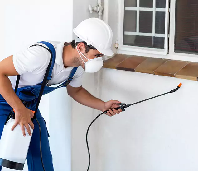 Your Professional Cockroach Exterminator in Fairfax, VA