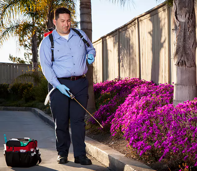 About Our Eco Safe Pest Control Experts in Fairfax, VA