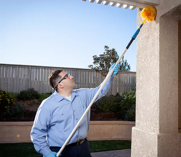 Trusted Experts in Fairfax VA for Formosan Termite Treatment and Black Termite Control