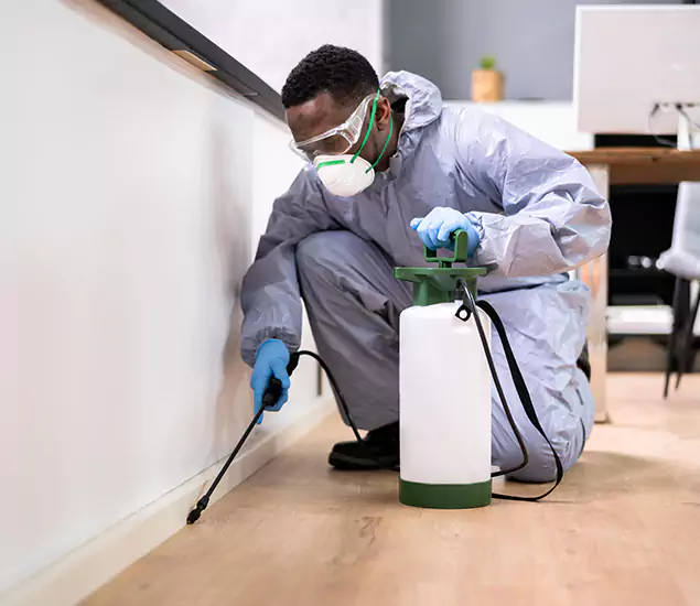 Leading Industrial Pest Control Experts Serving Fairfax, VA