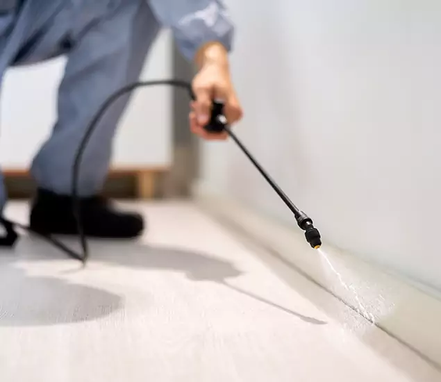 About Our Liquid Termite Treatment Experts in Fairfax, VA